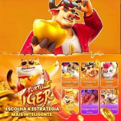Bets bola net
